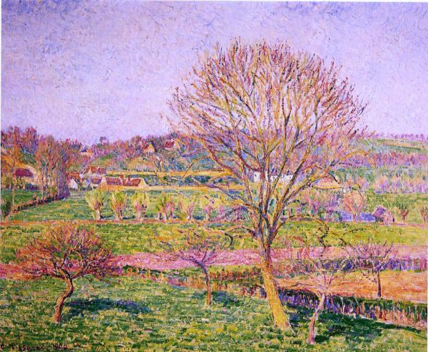 Big Walnut Tree at Eragny by Camille Pissarro - Hand-Painted Oil Painting on Canvas Online Sale