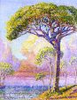 A Pine Tree by Henri Edmond Cross - Hand-Painted Oil Painting on Canvas Online