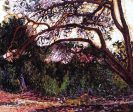 Wooded Landscape by Henri Edmond Cross - Hand-Painted Oil Painting on Canvas Supply