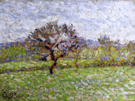 An Apple Tree at Eragny by Camille Pissarro - Hand-Painted Oil Painting on Canvas Online