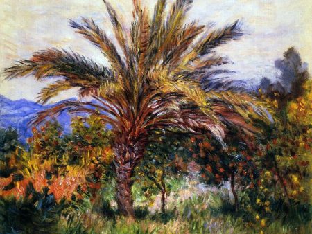 A Palm Tree at Bordighera by Claude Oscar Monet - Hand-Painted Oil Painting on Canvas Discount