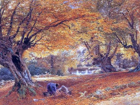 Burnham Beeches by Myles Birket Foster - Hand-Painted Oil Painting on Canvas Online Sale