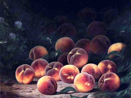 Bounty of Peaches by William Mason Brown - Hand-Painted Oil Painting on Canvas Online Sale