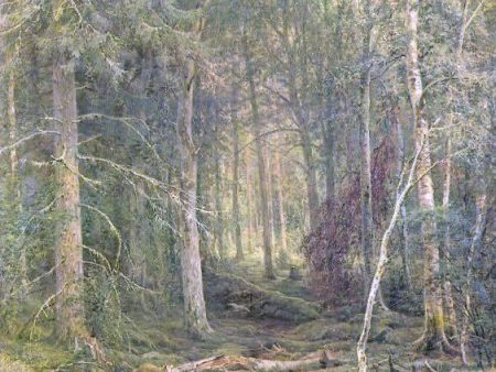 Backwoods by Ivan Ivanovich Shishkin - Hand-Painted Oil Painting on Canvas Hot on Sale