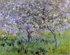 Apple Trees in Bloom at Giverny by Claude Oscar Monet - Hand-Painted Oil Painting on Canvas Online