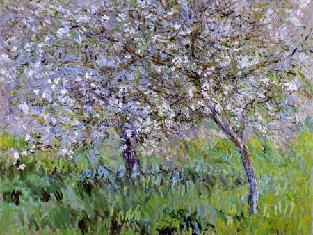 Apple Trees in Bloom at Giverny by Claude Oscar Monet - Hand-Painted Oil Painting on Canvas Online