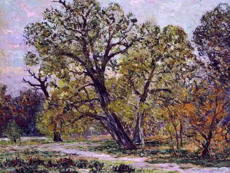 Autumn, Fontainebleau Forest by Maxime Maufra - Hand-Painted Oil Painting on Canvas Discount