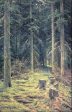 Coniferous Forest by Ivan Ivanovich Shishkin - Hand-Painted Oil Painting on Canvas Supply