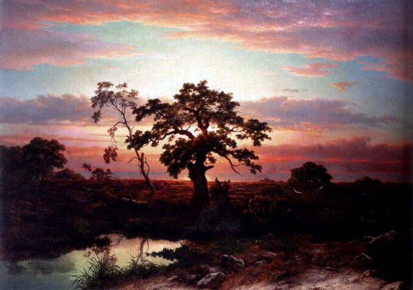 An Oak In An Extensive Coastal Landscape At Dusk Near Le Havre by Louwrens Hanedoes - Hand-Painted Oil Painting on Canvas For Discount