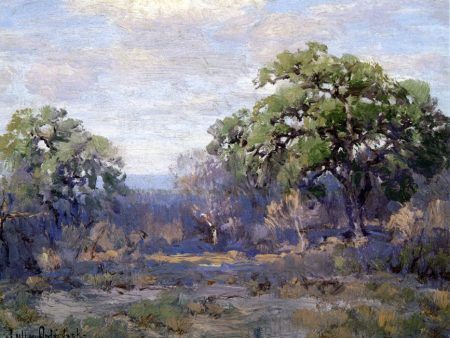 Brush Country Landscape by Julian Onderdonk - Hand-Painted Oil Painting on Canvas on Sale