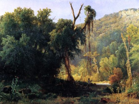 A West Virginia Forest by Jacobus Nicolaas Tjarda Starckenborgh  Van Stachouwer - Hand-Painted Oil Painting on Canvas Hot on Sale