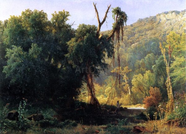 A West Virginia Forest by Jacobus Nicolaas Tjarda Starckenborgh  Van Stachouwer - Hand-Painted Oil Painting on Canvas Hot on Sale