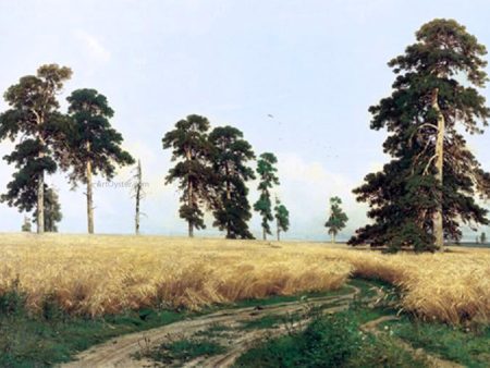 A Rye Field by Ivan Ivanovich Shishkin - Hand-Painted Oil Painting on Canvas on Sale