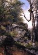 Woodland Stream by Asher Brown Durand - Hand-Painted Oil Painting on Canvas For Sale