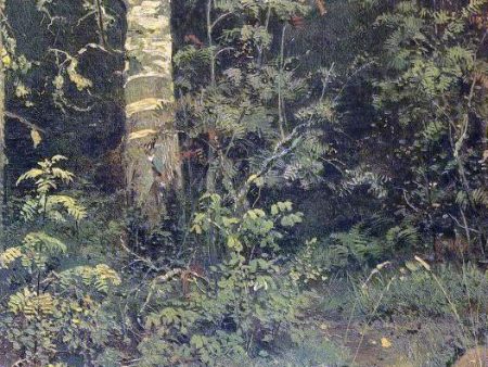 Birch and Pocks (etude) by Ivan Ivanovich Shishkin - Hand-Painted Oil Painting on Canvas For Discount