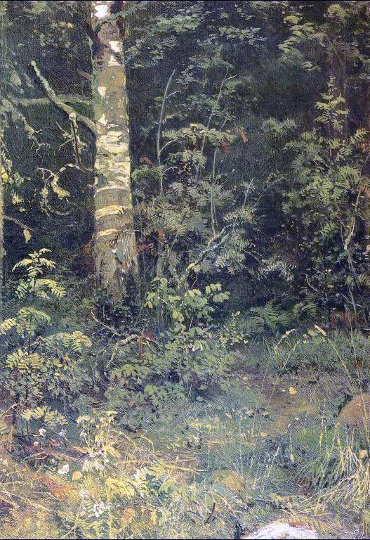 Birch and Pocks (etude) by Ivan Ivanovich Shishkin - Hand-Painted Oil Painting on Canvas For Discount