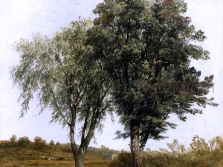 A Study of Trees by John Frederick Kensett - Hand-Painted Oil Painting on Canvas For Sale