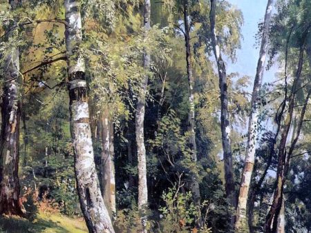 Birch Grove by Ivan Ivanovich Shishkin - Hand-Painted Oil Painting on Canvas Hot on Sale