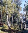 Birch Grove by Ivan Ivanovich Shishkin - Hand-Painted Oil Painting on Canvas Hot on Sale