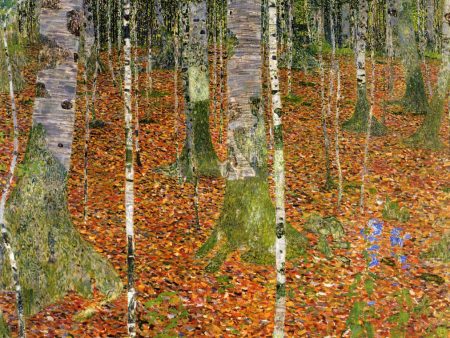 Birch Forest by Gustav Klimt - Hand-Painted Oil Painting on Canvas Discount