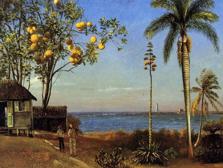 A View in the Bahamas by Albert Bierstadt - Hand-Painted Oil Painting on Canvas Online now