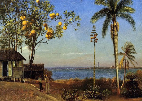 A View in the Bahamas by Albert Bierstadt - Hand-Painted Oil Painting on Canvas Online now