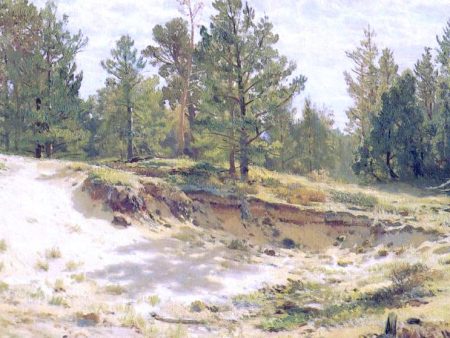 Young Pines on Sandy Steep (etude) by Ivan Ivanovich Shishkin - Hand-Painted Oil Painting on Canvas For Sale