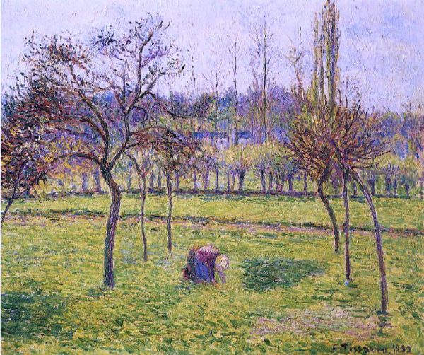 Apple Trees in a Field by Camille Pissarro - Hand-Painted Oil Painting on Canvas Fashion