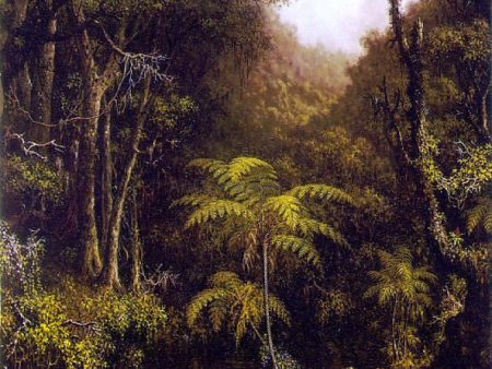 Brazilian Forest by Martin Johnson Heade - Hand-Painted Oil Painting on Canvas Fashion