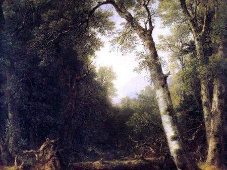 A Study from Nature by Asher Brown Durand - Hand-Painted Oil Painting on Canvas Online Sale