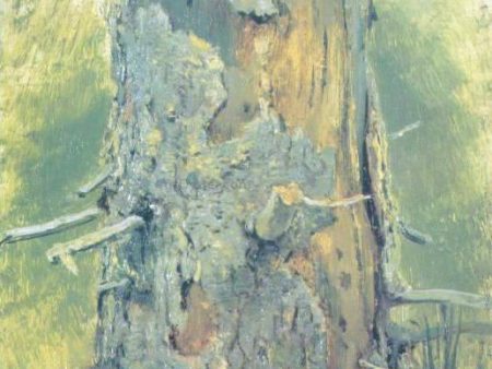 Bark on dry up tree (etude) by Ivan Ivanovich Shishkin - Hand-Painted Oil Painting on Canvas on Sale