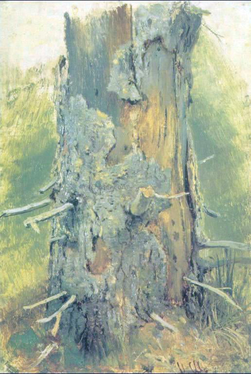 Bark on dry up tree (etude) by Ivan Ivanovich Shishkin - Hand-Painted Oil Painting on Canvas on Sale