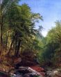 Woodland Scene by Asher Brown Durand - Hand-Painted Oil Painting on Canvas Fashion