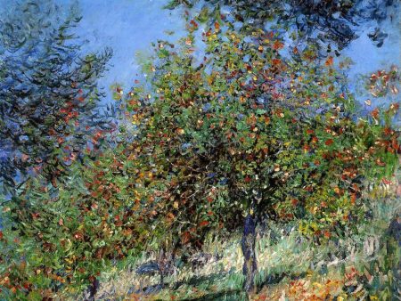 Apple Trees on the Chantemesle Hill by Claude Oscar Monet - Hand-Painted Oil Painting on Canvas Online now