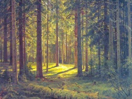 Coniferous Forest, Sunny Day by Ivan Ivanovich Shishkin - Hand-Painted Oil Painting on Canvas Hot on Sale