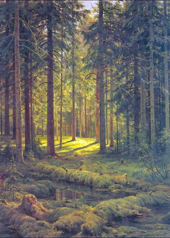 Coniferous Forest, Sunny Day by Ivan Ivanovich Shishkin - Hand-Painted Oil Painting on Canvas Hot on Sale