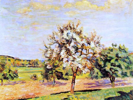 Apple Trees in Bloom by Armand Guillaumin - Hand-Painted Oil Painting on Canvas Online Hot Sale