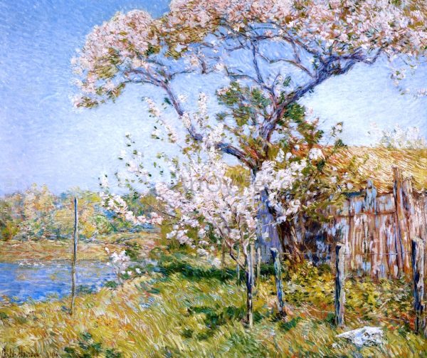 Apple Trees in Bloom, Old Lyme by Frederick Childe Hassam - Hand-Painted Oil Painting on Canvas Online