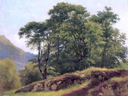 Beech Forest in Switzerland by Ivan Ivanovich Shishkin - Hand-Painted Oil Painting on Canvas For Sale