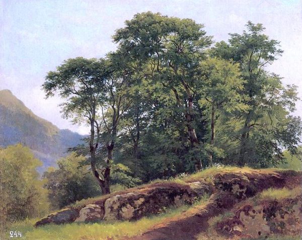 Beech Forest in Switzerland by Ivan Ivanovich Shishkin - Hand-Painted Oil Painting on Canvas For Sale