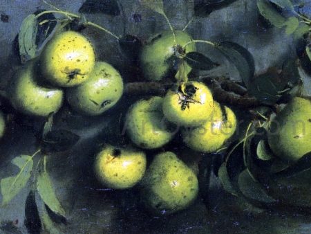 Bough of Pears with Yellow Jacket by Joseph Decker - Hand-Painted Oil Painting on Canvas Online now