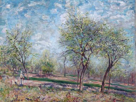 Apple Trees in Bloom by Alfred Sisley - Hand-Painted Oil Painting on Canvas For Discount