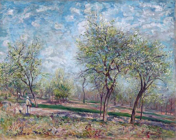 Apple Trees in Bloom by Alfred Sisley - Hand-Painted Oil Painting on Canvas For Discount