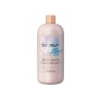 Atkuriantis šampūnas Inebrya Ice Cream Age Therapy Hair Lift Shampoo ICE26340, 1000 ml Online