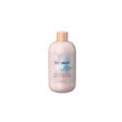 Atkuriantis šampūnas Inebrya Ice Cream Age Therapy Hair Lift Shampoo ICE26339, 300 ml Supply